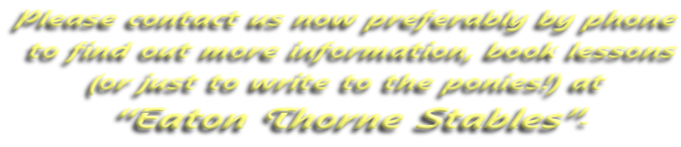 Please contact us now preferably by phone  to find out more information, book lessons  (or just to write to the ponies!) at  “Eaton Thorne Stables”-